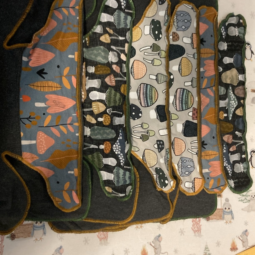 Spunky Rumps Prefold Cloth Diaper set of 6